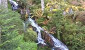 Randonnée Marche Gérardmer - Cascade /observatoire de Menelle  - Photo 12