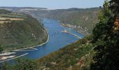 Tocht Te voet Lorch - Rhein-Wisper-Glück - Photo 4