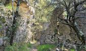 Trail Walking Signes - Plateau d'Agnis en partant de La Marseillaise - Photo 9