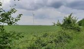 Tour Wandern Montignac-Charente - La rando de Puyssanganou entre Montignac et saint Amand de Boixe - Photo 6