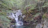 Trail Walking Abetone Cutigliano - Boucle du mont Poggione par le Lago Nero et le jardin botanique - Photo 2