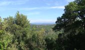 Randonnée Marche Les Arcs-sur-Argens - Les Arcs Menhirs et Dolmen - Photo 3