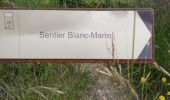 Trail Walking La Palud-sur-Verdon - les malines au point sublime - Photo 15
