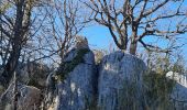 Tocht Stappen Les Ferres - cime de l estellier - Photo 3