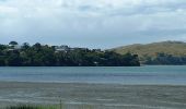 Excursión A pie Unknown - Pauatahanui Harbour circuit - b) Pauatahanui to Paremata Bridge - Photo 7