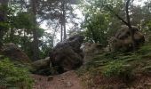 Randonnée A pied Fontainebleau - Sentier Denecourt-Colinet 1 - Photo 4