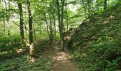 Tocht Stappen Saint-Hubert - rando arville 29/07/2020 - Photo 4