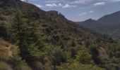 Trail Walking Buis-les-Baronnies - 26 roche sur buis - Photo 3