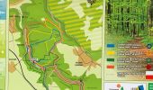 Trail Walking Hussigny-Godbrange - Moulaine Selomont 7km cercle bleu - Photo 3