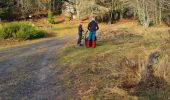 Tocht Stappen Rimbach-près-Guebwiller - Rando avec Omar et Slimane..29/12/2021 - Photo 1