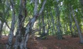 Excursión Senderismo Saou - Petite et grande Pomerolle en boucle - Photo 4