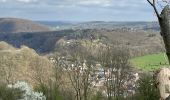 Tour Wandern Olne - Rafhay Vaux Nessonvaux prés de Srtaet - Photo 3