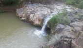 Trail On foot Emek Izrael Regional Council - Basalt Canyon - Tabor Stream - Photo 2