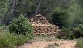 Tour Wandern Évenos - La loisianne pins et tamaris Fred - Photo 10