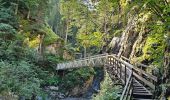 Randonnée Marche Les Houches - J6 - Gorges de la Diosaz - Photo 8