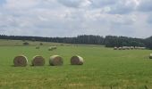 Tour Wandern Feitweiler - rando fauvillers 26 /06/2021 - Photo 1