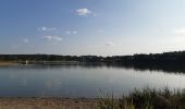 Excursión Senderismo Bütgenbach - butchenbach tour du lac - Photo 4