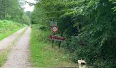 Percorso Mountainbike Crécy-en-Ponthieu - activity_5258602101 - Photo 3