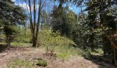 Tour Wandern Arconsat - Montlune par La Meule - Photo 8