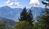 Trail Walking Laval-en-Belledonne - PETITE RANDONNEE AU DEPART DU PONT DE LA BETTA  - Photo 8