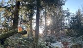 Tocht  Vagney - Haut du Tôt - Sapois - Photo 3