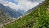 Tocht Stappen Saint-Martin-Vésubie - Refuge de Nice - Photo 13