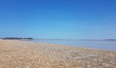 Tocht Stappen Port-des-Barques - Port des Barques Ile Madame - Photo 4