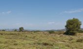 Tocht Stappen La Londe-les-Maures - les vieux salins - Photo 5