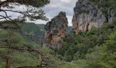 Tour Wandern Le Rozier - circuit Brunet et partie du circuit de Cassagnes le Rozier - Photo 3