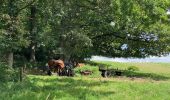 Randonnée Marche Wezembeek-Ophem - S-GR Groene Gordel: Tervuren - Kortenberg - Photo 15