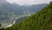 Randonnée Marche Les Houches - Parc Animalier Merlet - Chalets de Chailloux - Aiguillettes des Houches - Photo 10