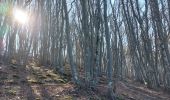 Tour Wandern Eyzahut - Montagne du Poët - Photo 1