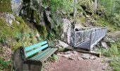 Trail Walking Kruth - Autour du lac de Kruth-Wildenstein - Photo 13