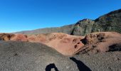 Tocht Stappen Sainte-Rose - Piton de la Fournaise (cratère Dolomieu) - Piton Partage - Photo 13