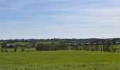 Tour Wandern Welkenrath - 20220411 - Grunhaut 7 Km - Photo 9
