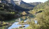 Randonnée Marche Collias - PF-Collias - Les Gorges du Gardon - Photo 18