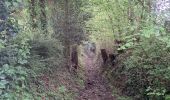 Trail Walking Le Mesnil-Simon - Le Mesnil Simon - Photo 17
