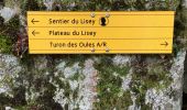 Trail Walking Cauterets - Sentier du Lisey - Photo 14