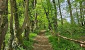 Trail Walking Chimay - A la découverte de Lompret 🥾 - Photo 11