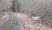 Trail Walking Baerenthal - schmalenthal, bannstein, hammerschless - Photo 12
