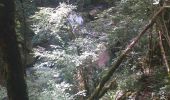 Trail Walking Mouthier-Haute-Pierre - gorges de noailles  - Photo 16