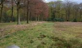 Trail On foot Brasschaat - Waterpad - Photo 5