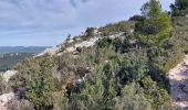 Excursión Senderismo Le Castellet - gros  cerveau  par GR 51 depuis l'ouest  - Photo 3