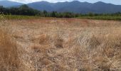 Tour Wandern Montesquieu-des-Albères - montesquieu-des-alberes entre canaux, rivières et tech  - Photo 20