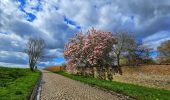 Randonnée Marche Thuin - Balade à Thuillies - Photo 15