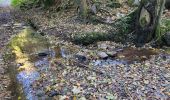 Tour Wandern Vieux-Moulin - Circuit autour de Vieux Moulin en passant par la 