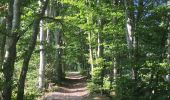 Trail Walking Le Sappey-en-Chartreuse - Ascension au fort saint Eynard - Photo 13