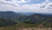 Tour Wandern Bellecombe - crêt chalam borne au lion - Photo 16