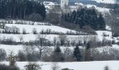 Randonnée Raquettes à neige Bullange - Manderfeld (PVDB) - Photo 11