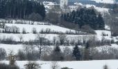 Tour Schneeschuhwandern Büllingen - Manderfeld (PVDB) - Photo 11